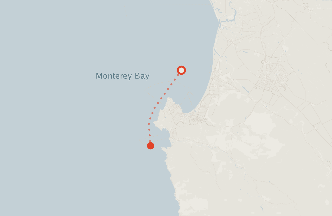 Activity map — real sighting points on an OpenStreetMap basemap