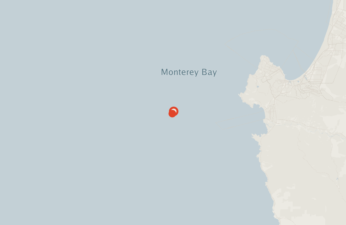 Activity map — real sighting points on an OpenStreetMap basemap