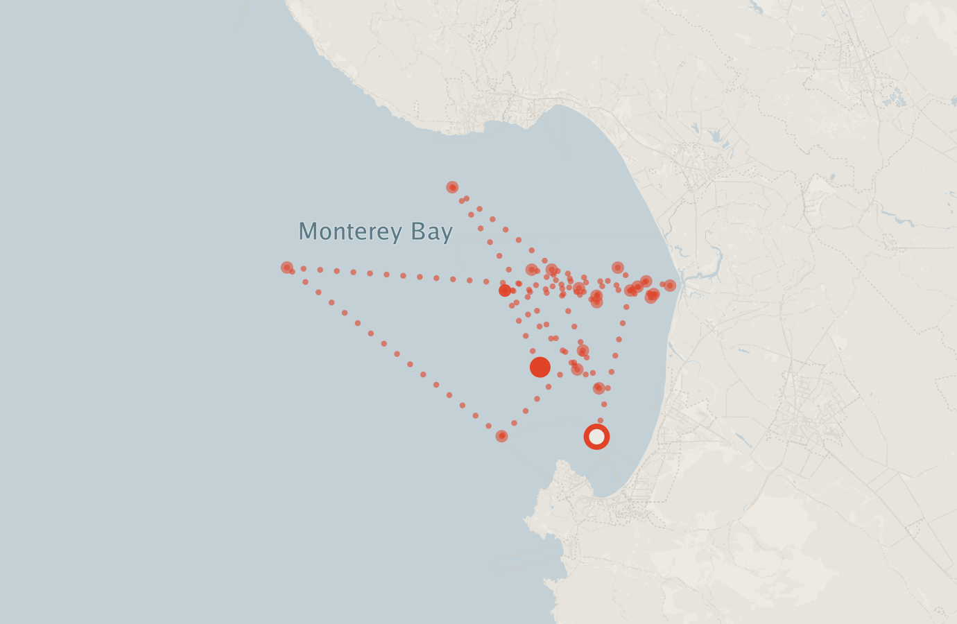 Activity map — real sighting points on an OpenStreetMap basemap