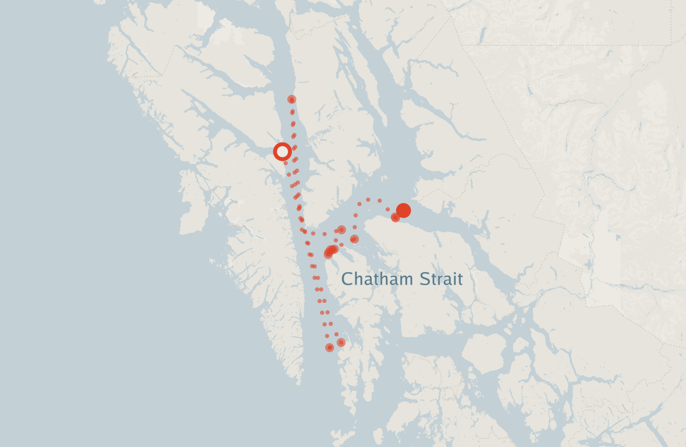 Activity map — real sighting points on an OpenStreetMap basemap