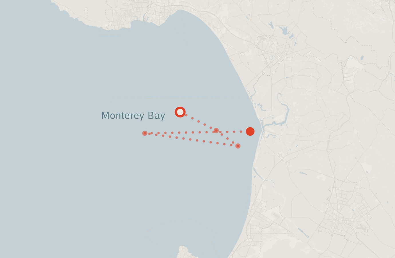 Activity map — real sighting points on an OpenStreetMap basemap