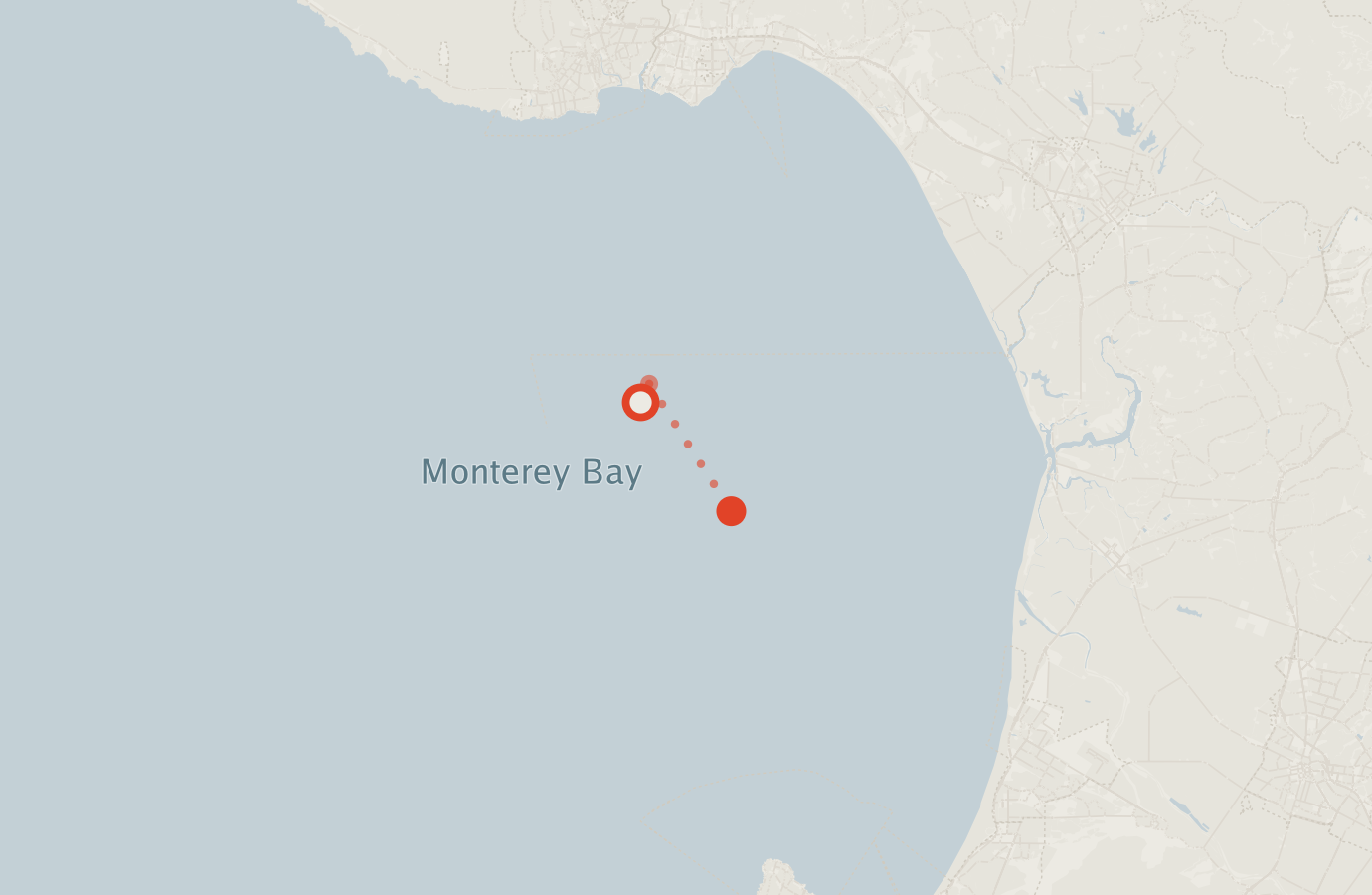 Activity map — real sighting points on an OpenStreetMap basemap