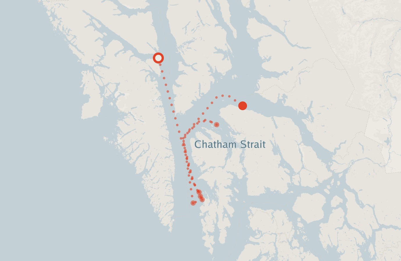 Activity map — real sighting points on an OpenStreetMap basemap