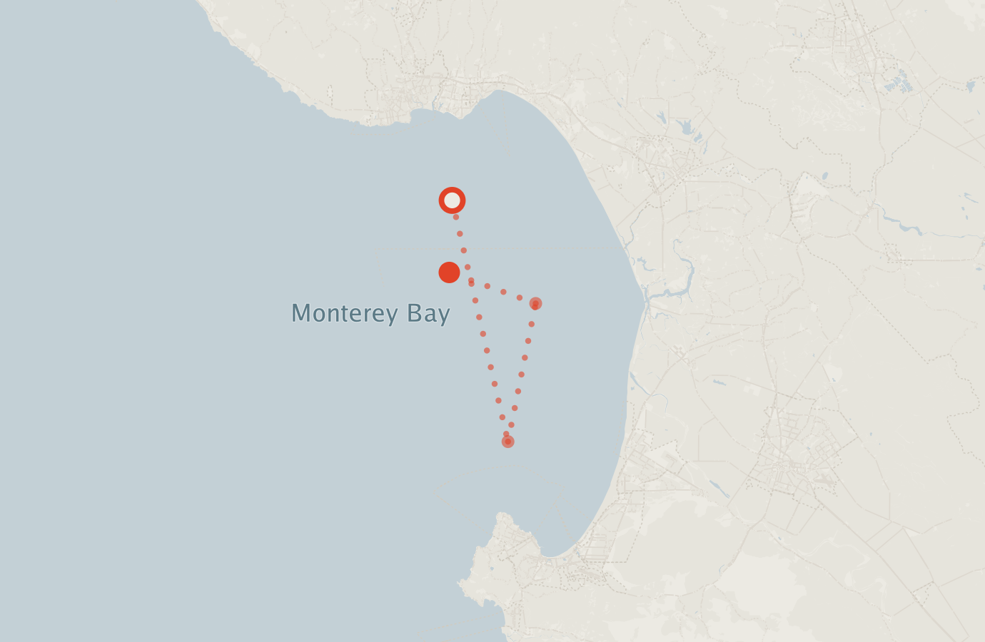 Activity map — real sighting points on an OpenStreetMap basemap