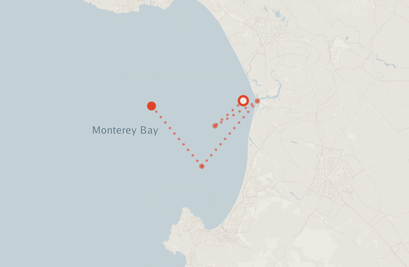 Activity map — real sighting points on an OpenStreetMap basemap