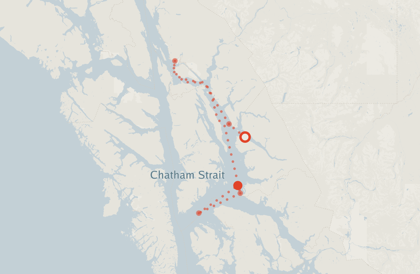 Activity map — real sighting points on an OpenStreetMap basemap