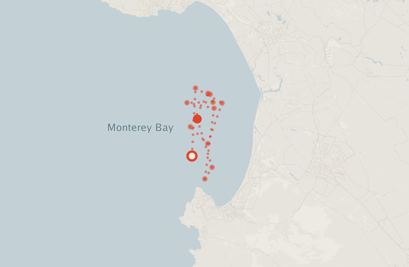Activity map — real sighting points on an OpenStreetMap basemap
