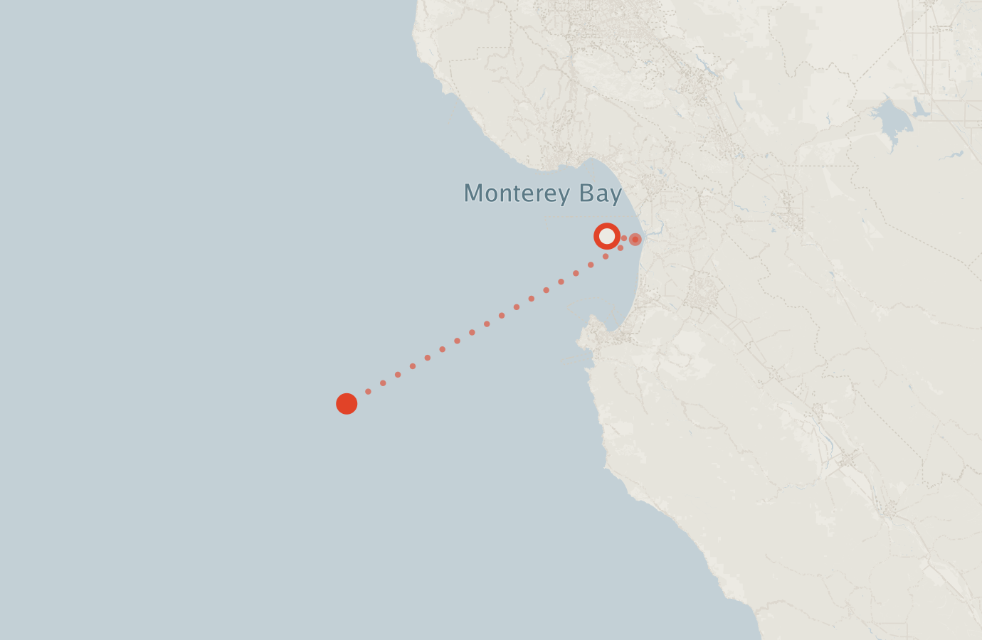 Activity map — real sighting points on an OpenStreetMap basemap
