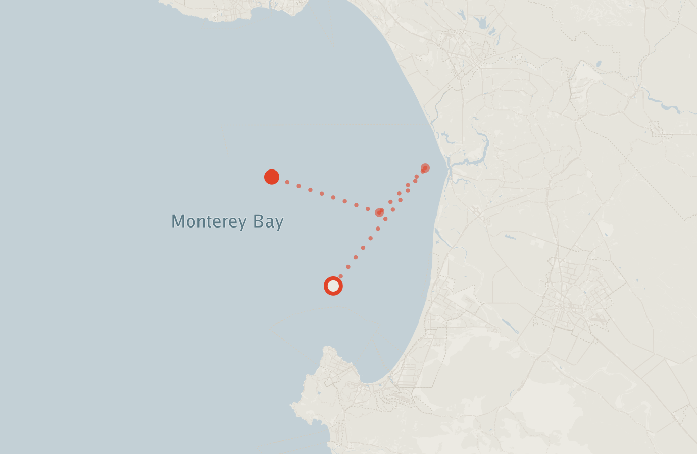 Activity map — real sighting points on an OpenStreetMap basemap