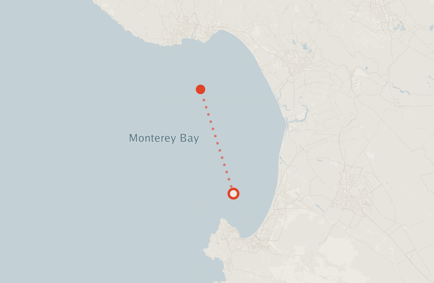 Activity map — real sighting points on an OpenStreetMap basemap