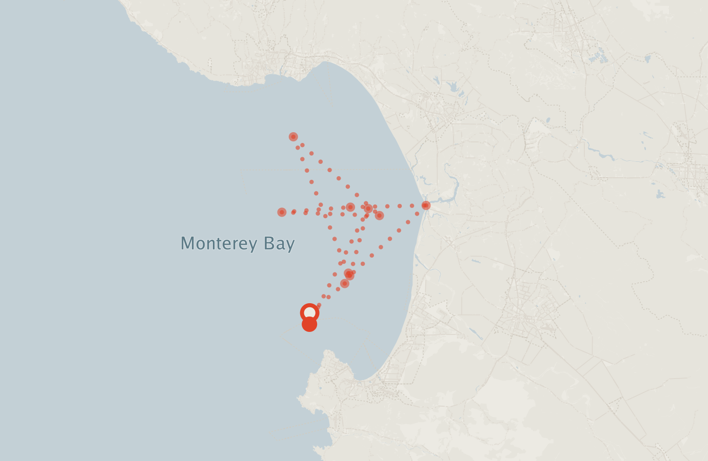 Activity map — real sighting points on an OpenStreetMap basemap