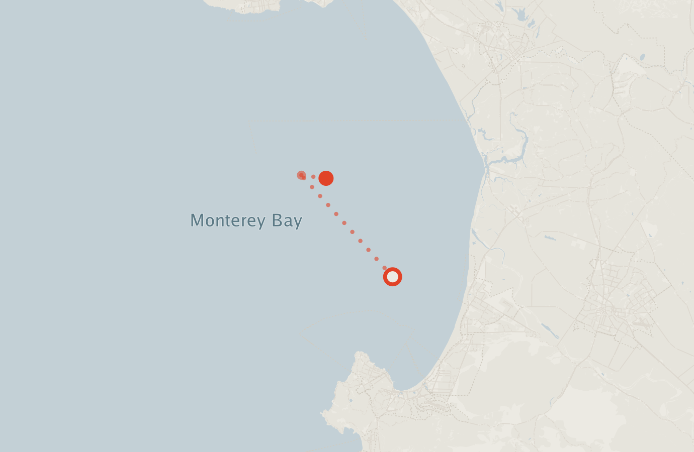 Activity map — real sighting points on an OpenStreetMap basemap