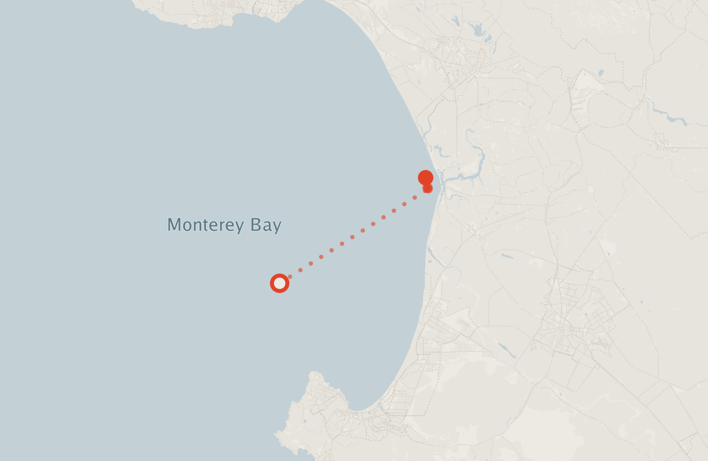 Activity map — real sighting points on an OpenStreetMap basemap