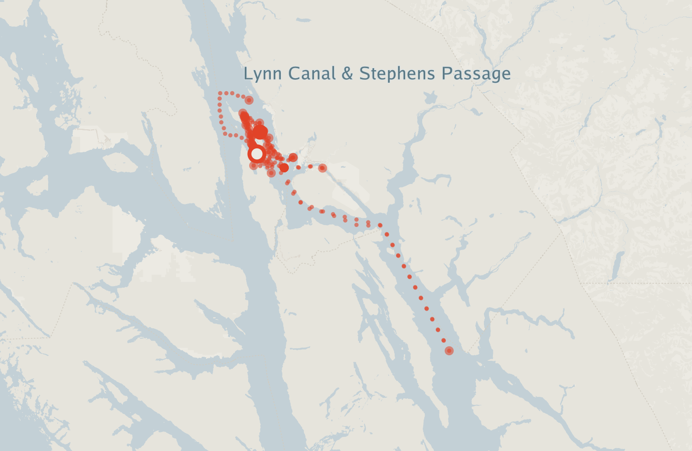 Activity map — real sighting points on an OpenStreetMap basemap