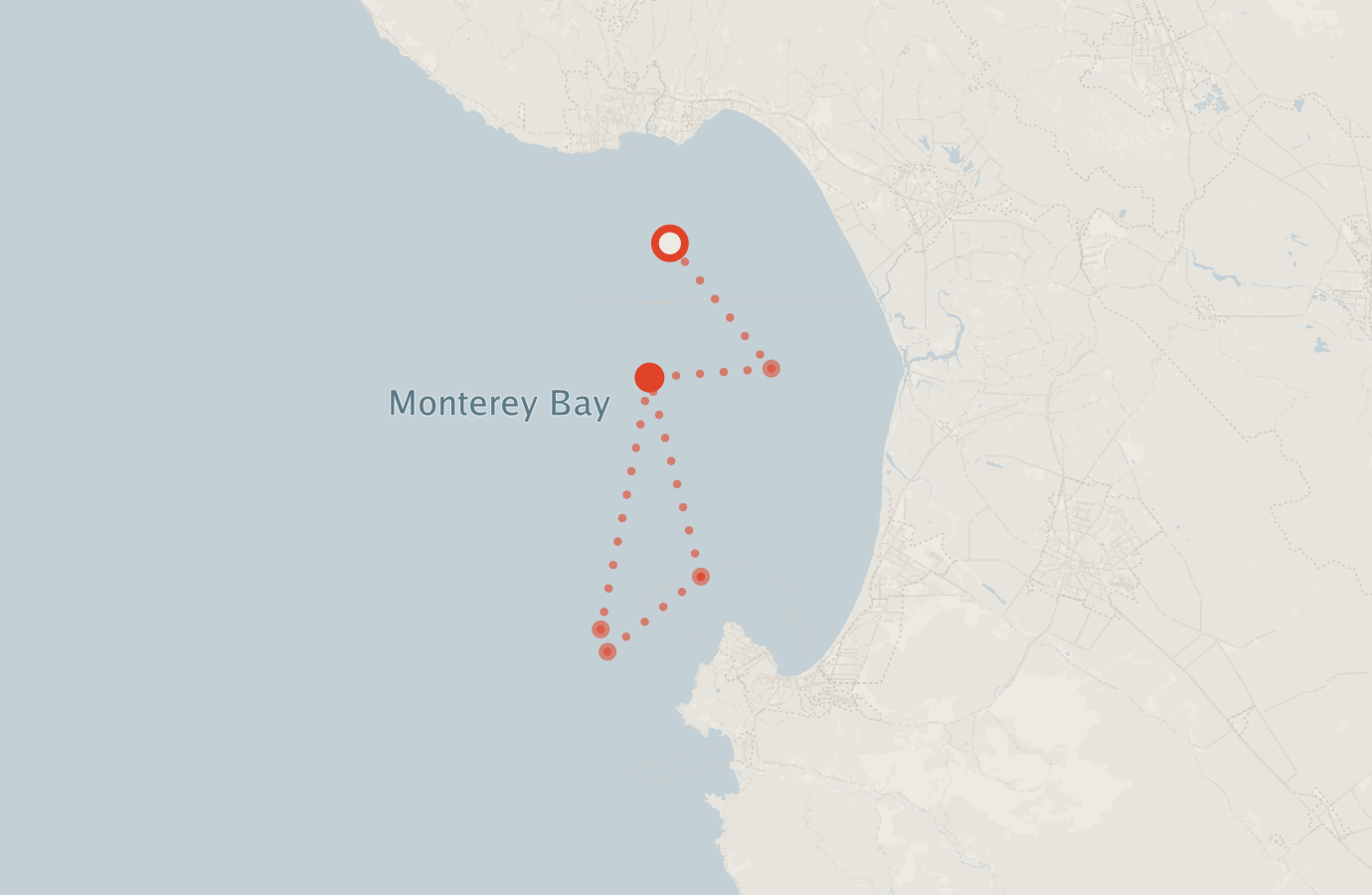 Activity map — real sighting points on an OpenStreetMap basemap
