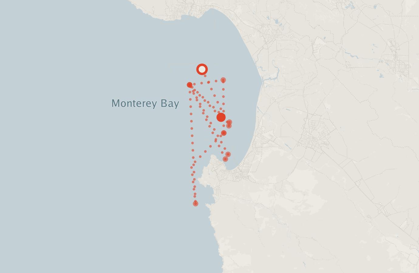Activity map — real sighting points on an OpenStreetMap basemap