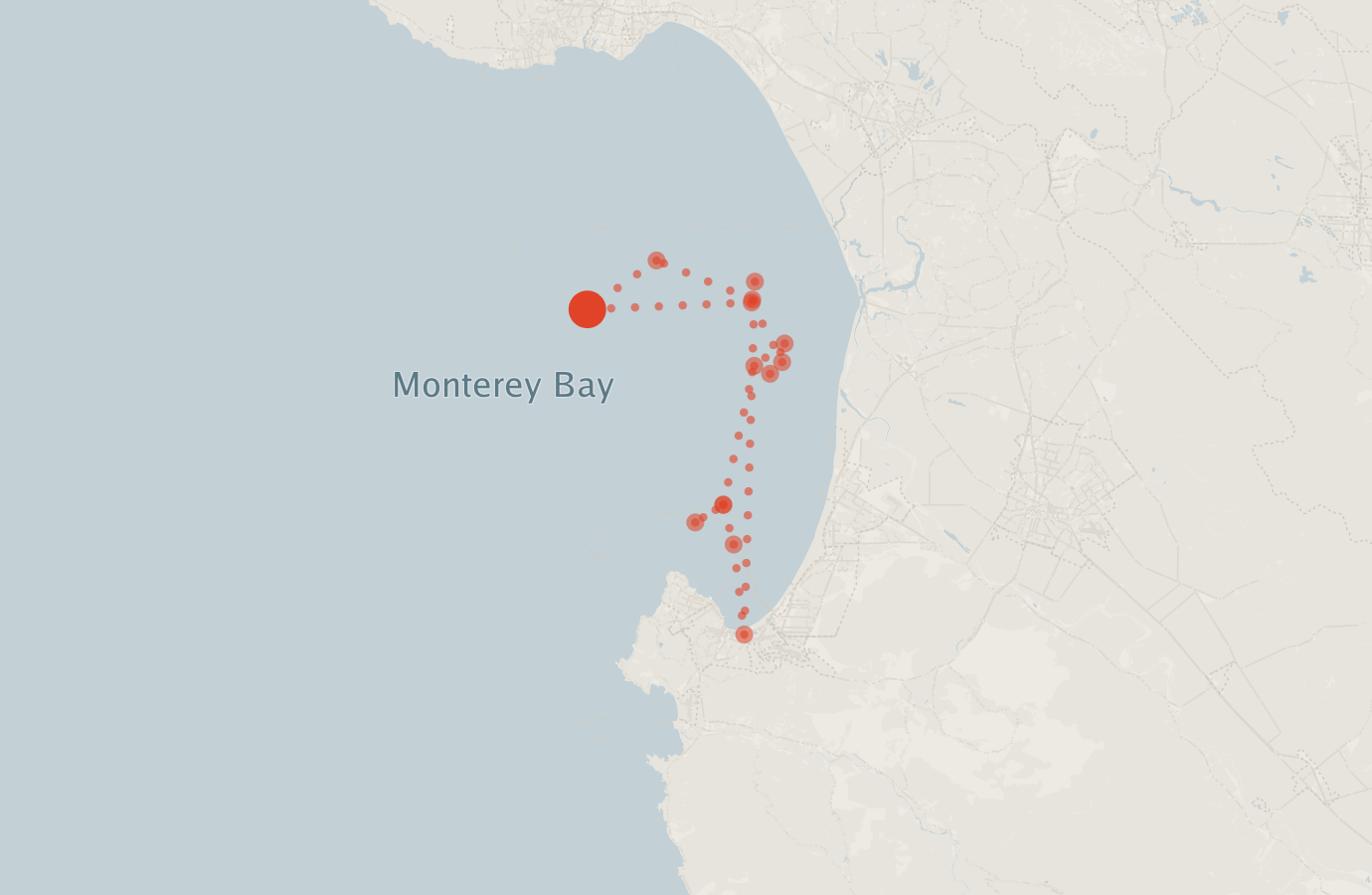 Activity map — real sighting points on an OpenStreetMap basemap
