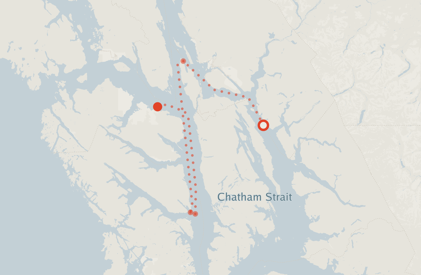 Activity map — real sighting points on an OpenStreetMap basemap