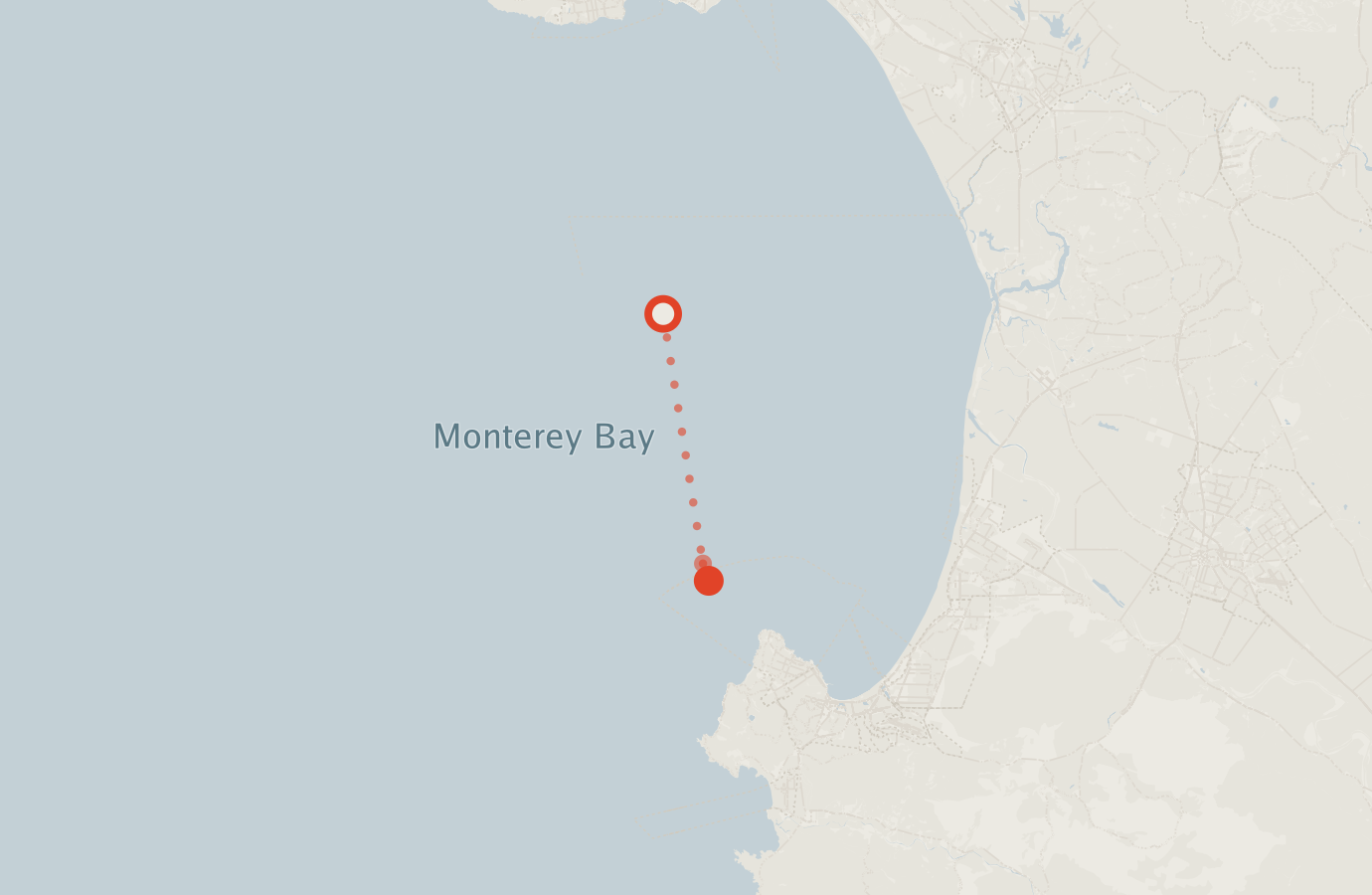 Activity map — real sighting points on an OpenStreetMap basemap