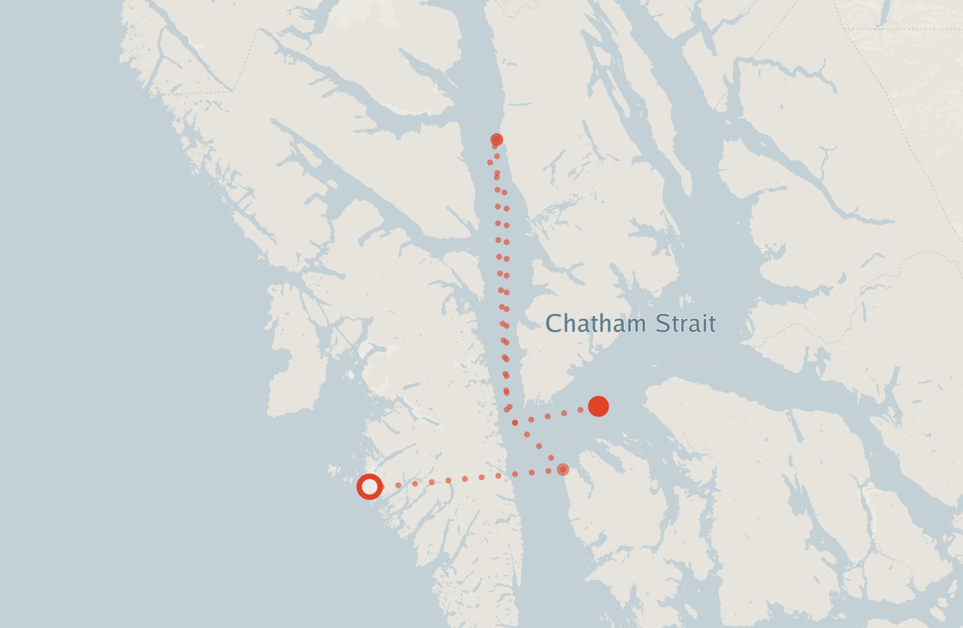 Activity map — real sighting points on an OpenStreetMap basemap
