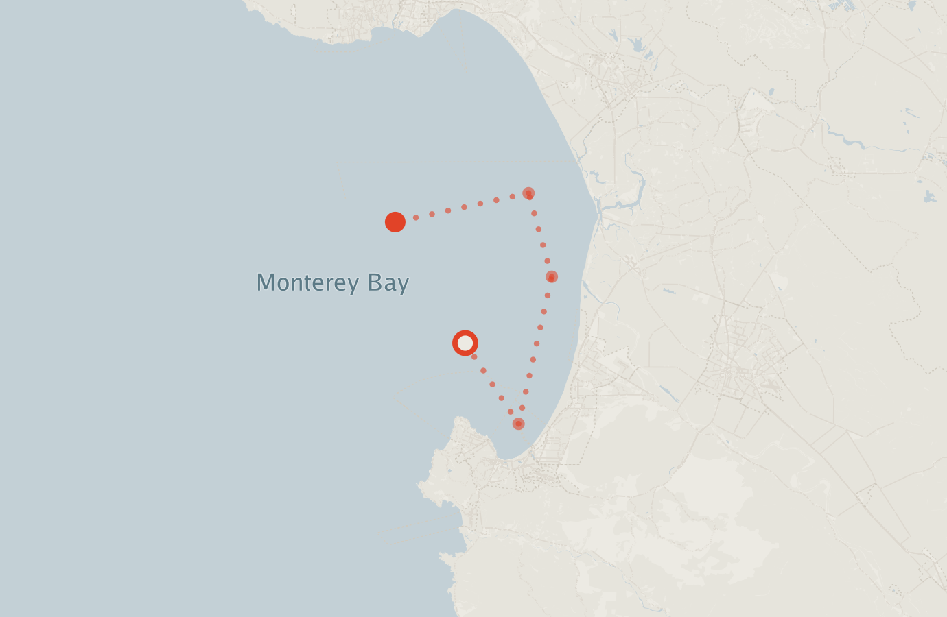 Activity map — real sighting points on an OpenStreetMap basemap