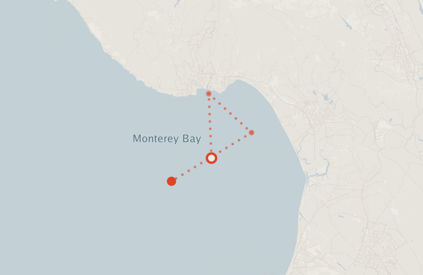 Activity map — real sighting points on an OpenStreetMap basemap