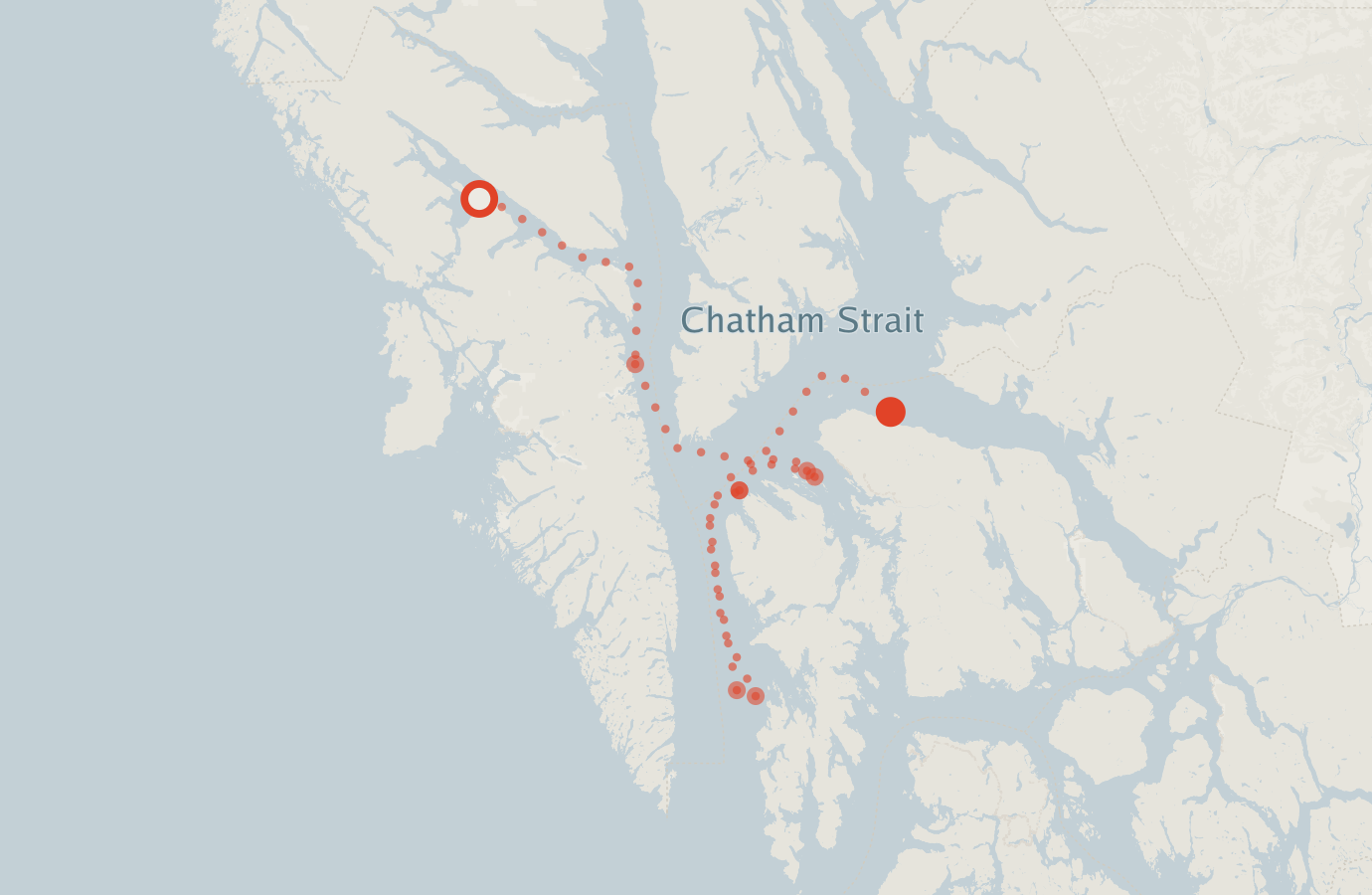 Activity map — real sighting points on an OpenStreetMap basemap