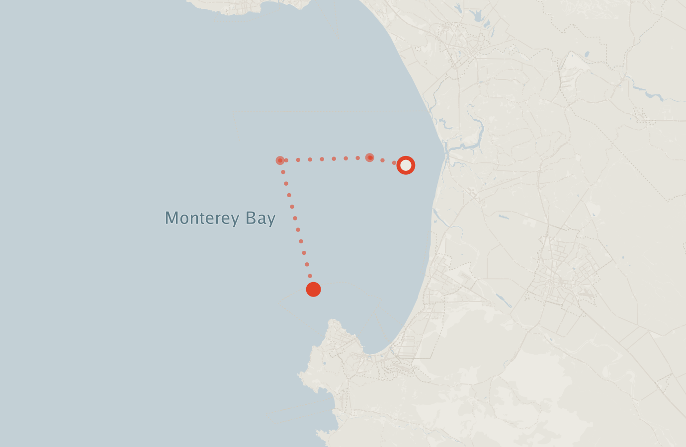 Activity map — real sighting points on an OpenStreetMap basemap