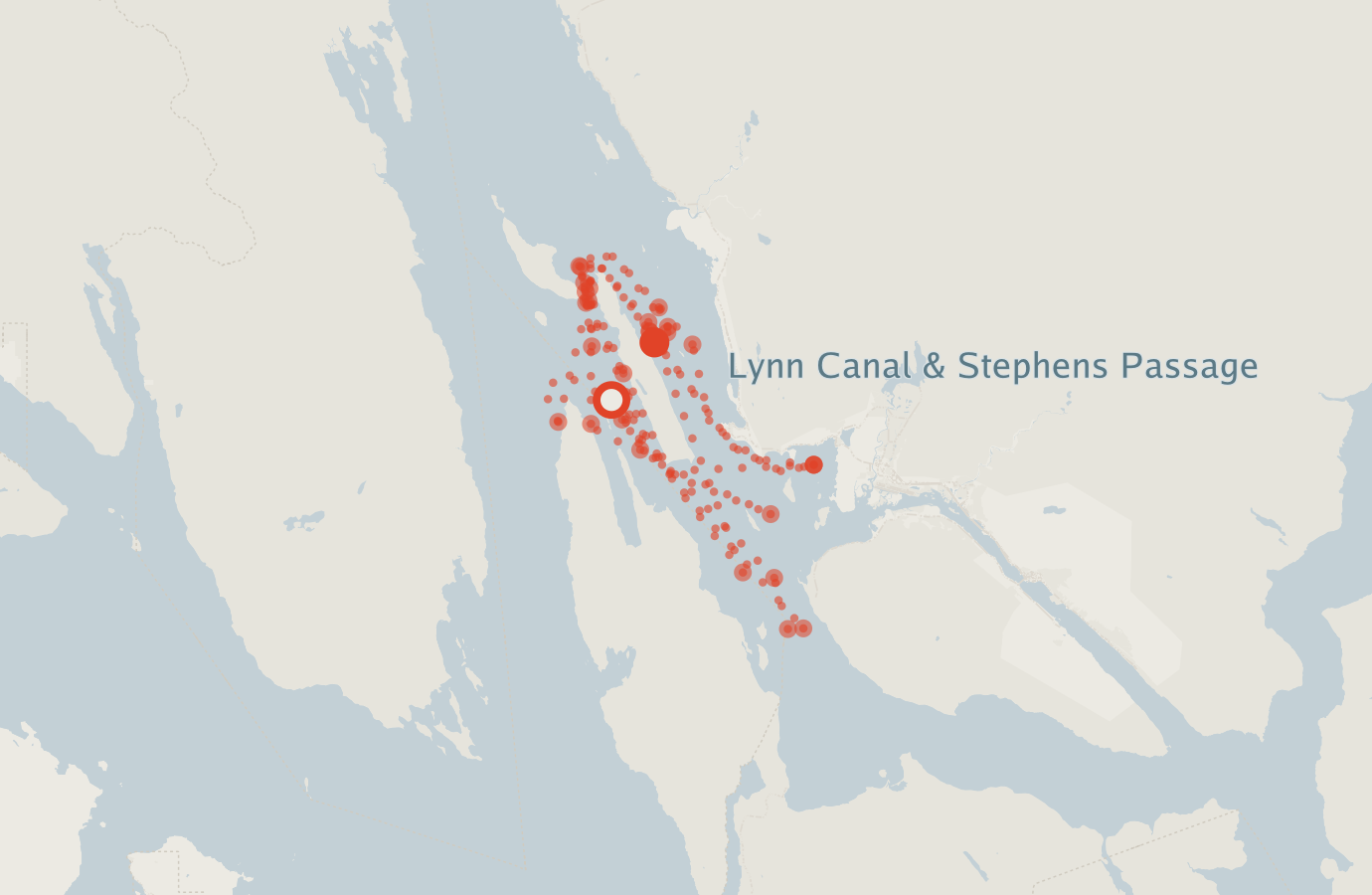Activity map — real sighting points on an OpenStreetMap basemap
