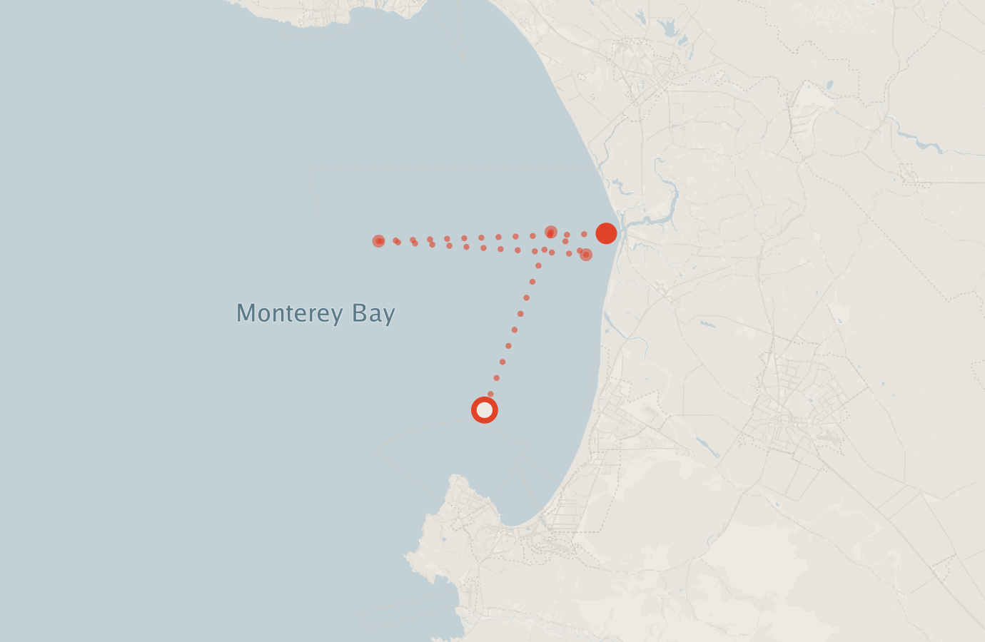 Activity map — real sighting points on an OpenStreetMap basemap