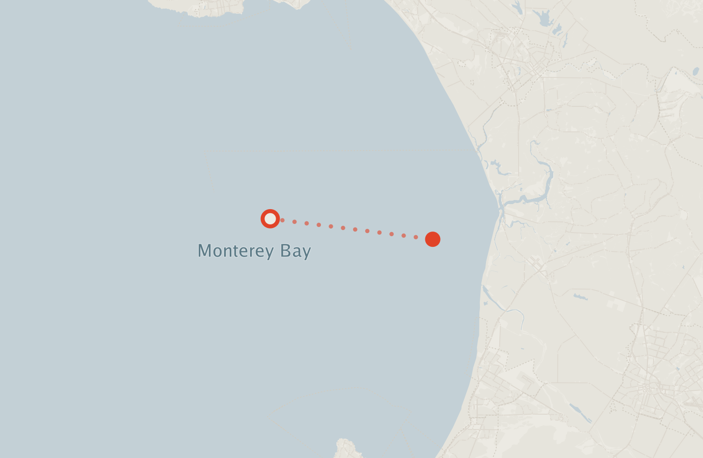 Activity map — real sighting points on an OpenStreetMap basemap