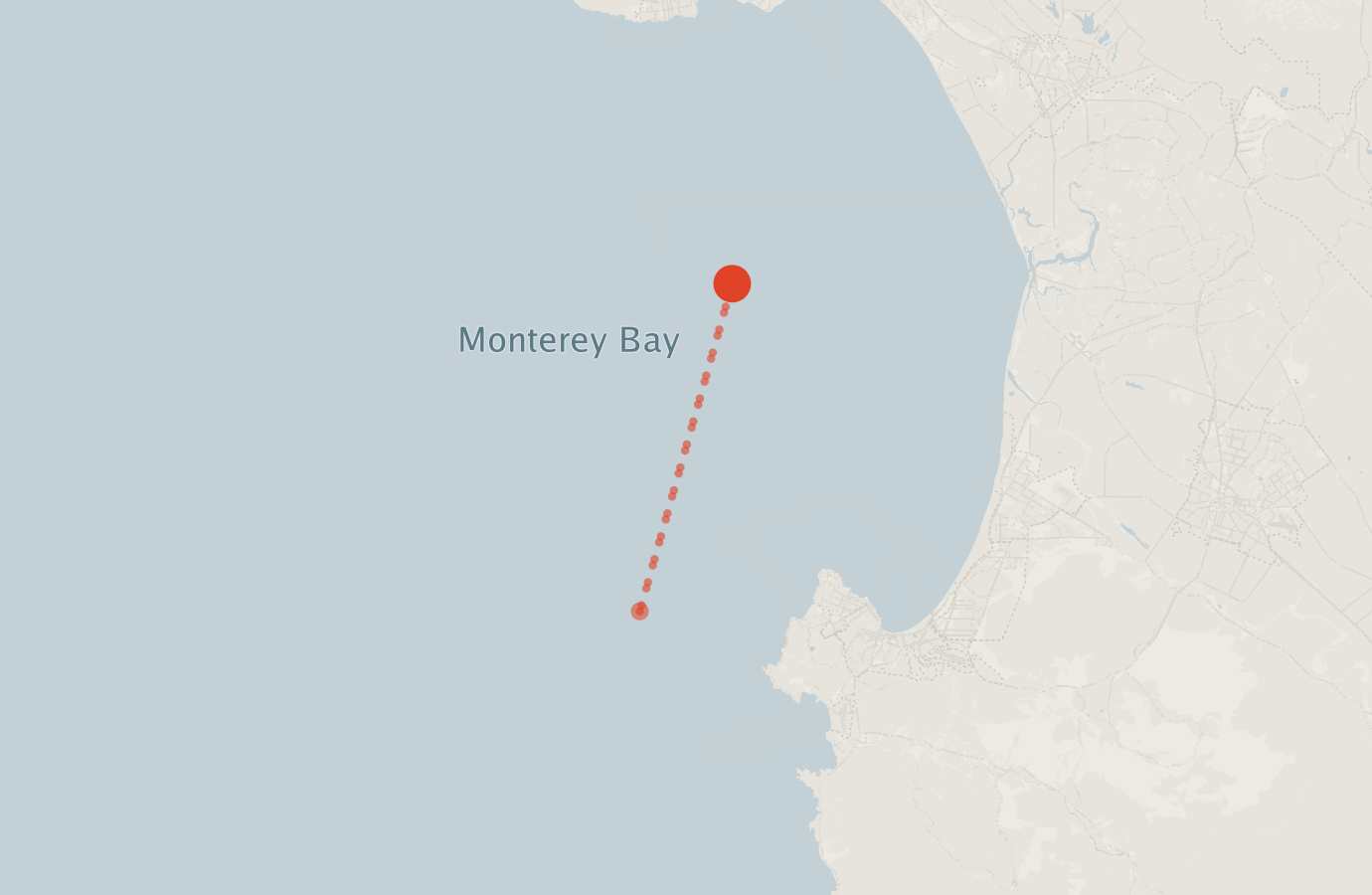 Activity map — real sighting points on an OpenStreetMap basemap