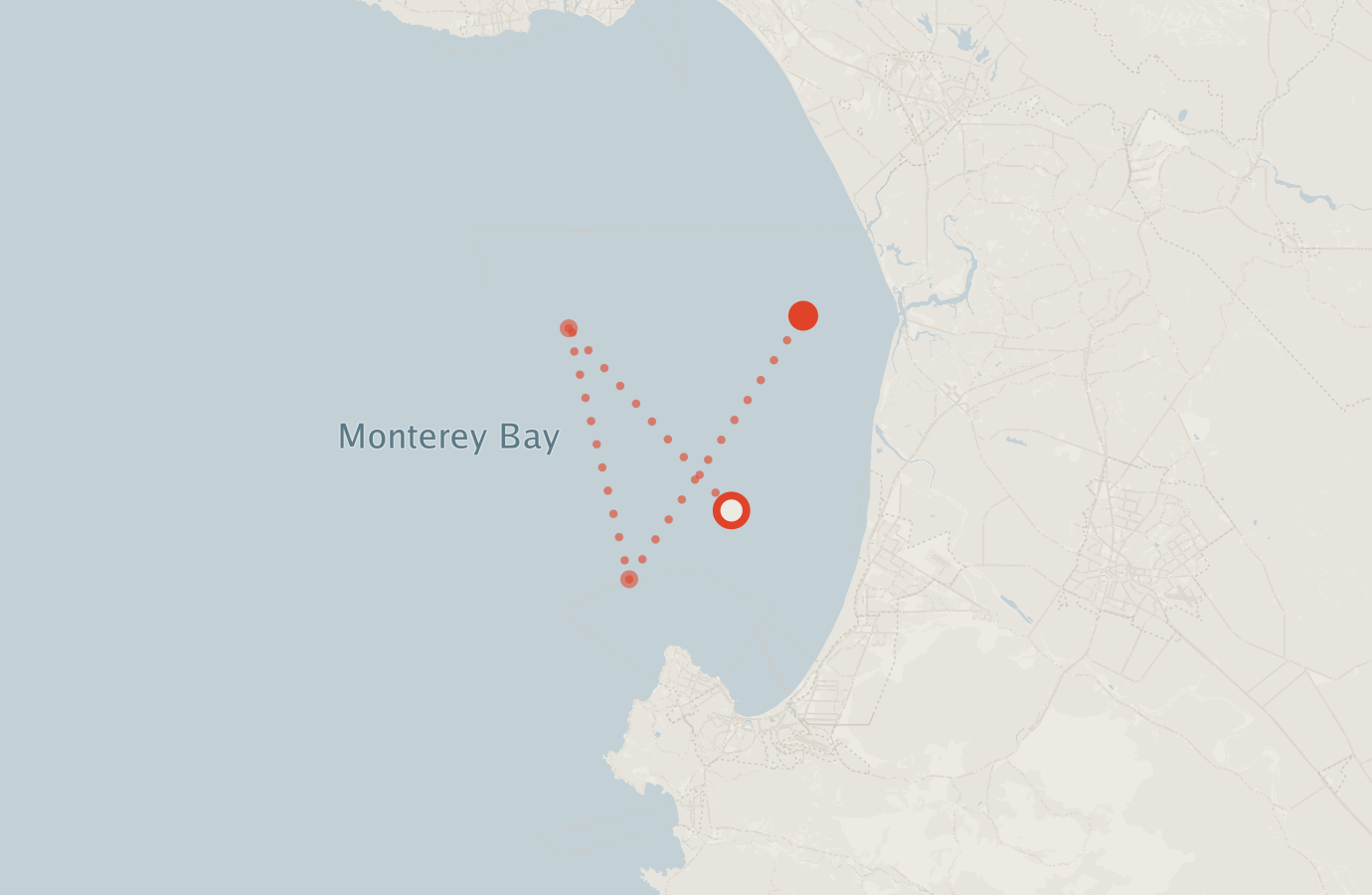 Activity map — real sighting points on an OpenStreetMap basemap