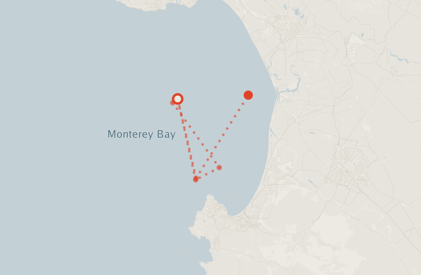 Activity map — real sighting points on an OpenStreetMap basemap