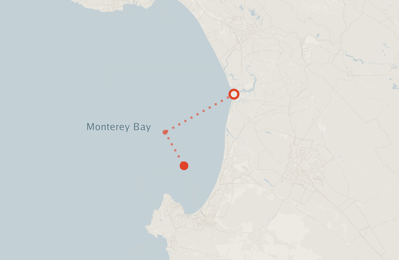 Activity map — real sighting points on an OpenStreetMap basemap