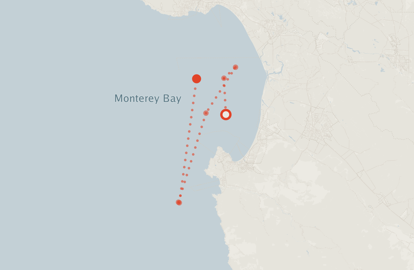 Activity map — real sighting points on an OpenStreetMap basemap