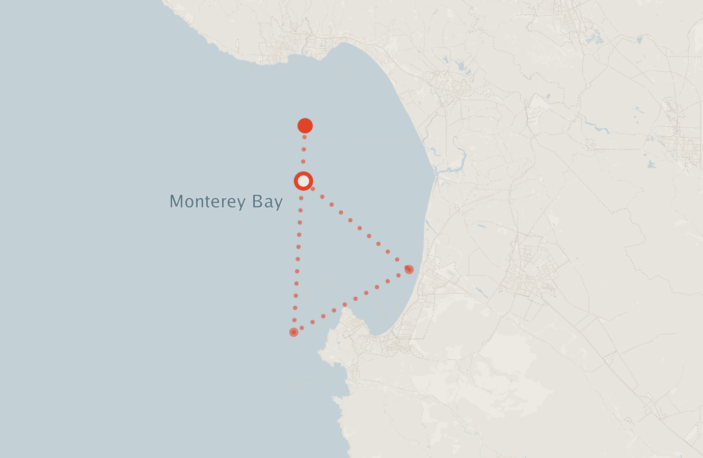 Activity map — real sighting points on an OpenStreetMap basemap