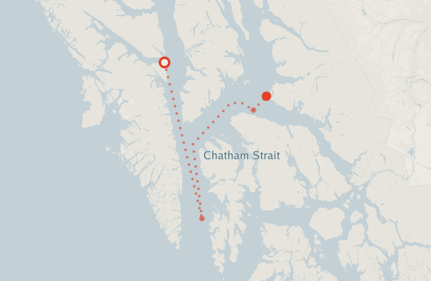 Activity map — real sighting points on an OpenStreetMap basemap