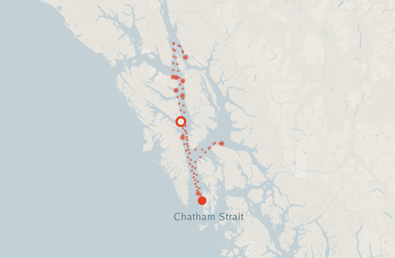 Activity map — real sighting points on an OpenStreetMap basemap