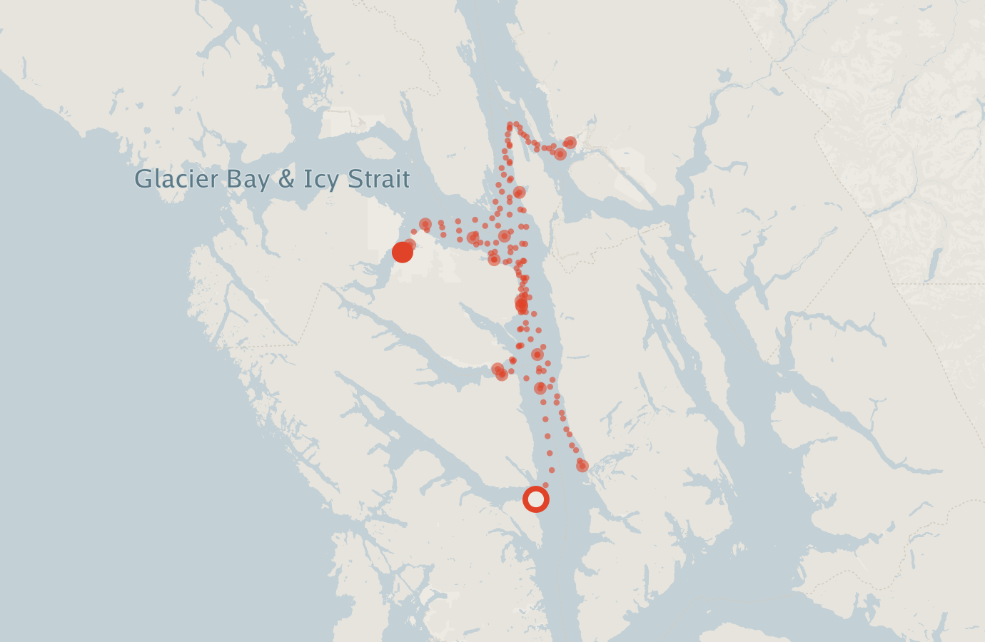 Activity map — real sighting points on an OpenStreetMap basemap