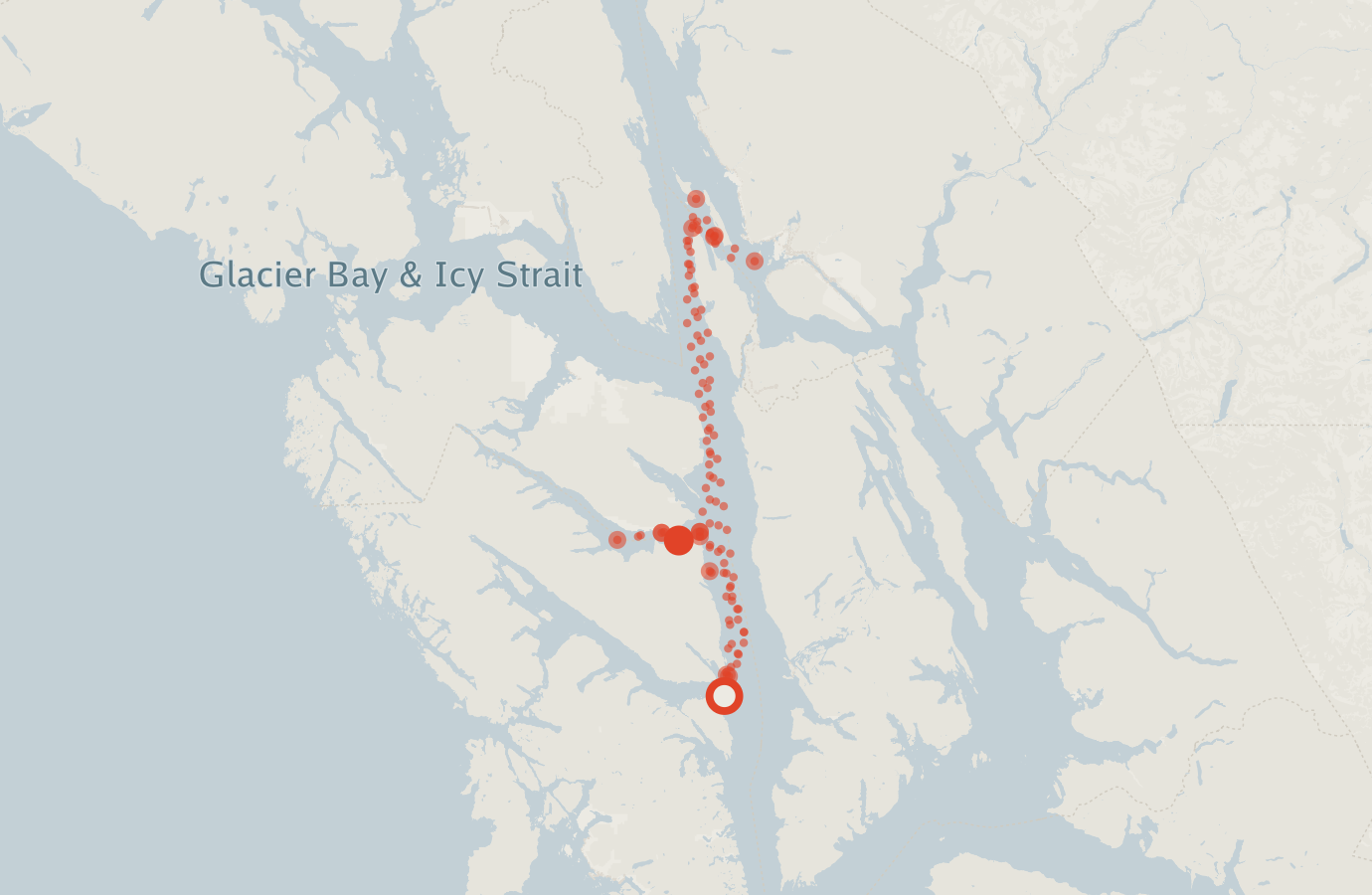 Activity map — real sighting points on an OpenStreetMap basemap