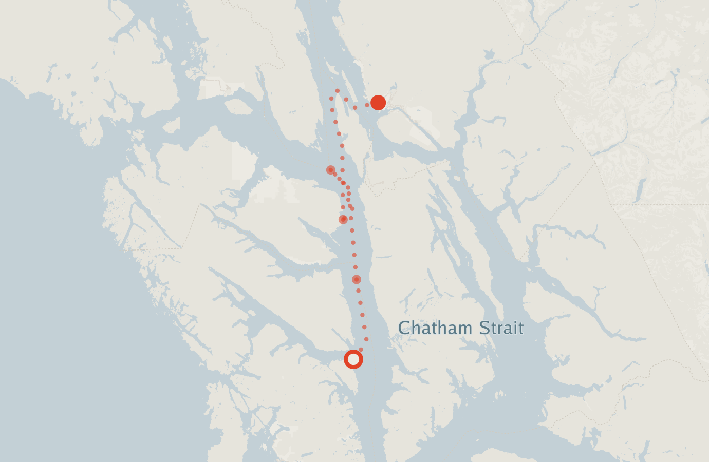 Activity map — real sighting points on an OpenStreetMap basemap