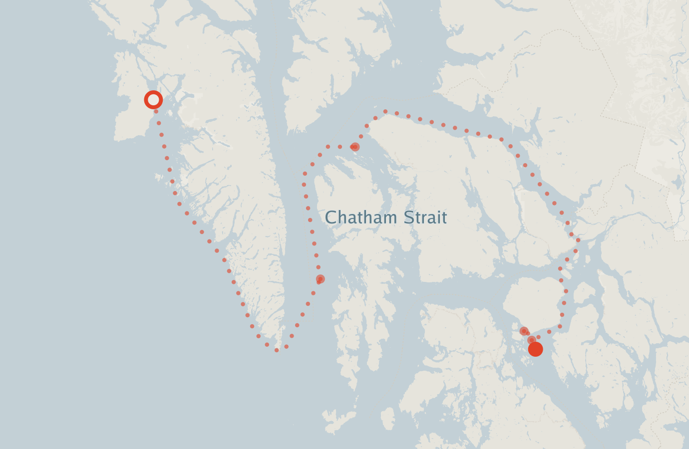 Activity map — real sighting points on an OpenStreetMap basemap