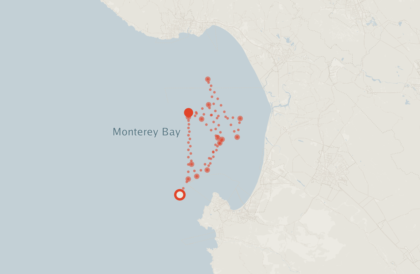 Activity map — real sighting points on an OpenStreetMap basemap