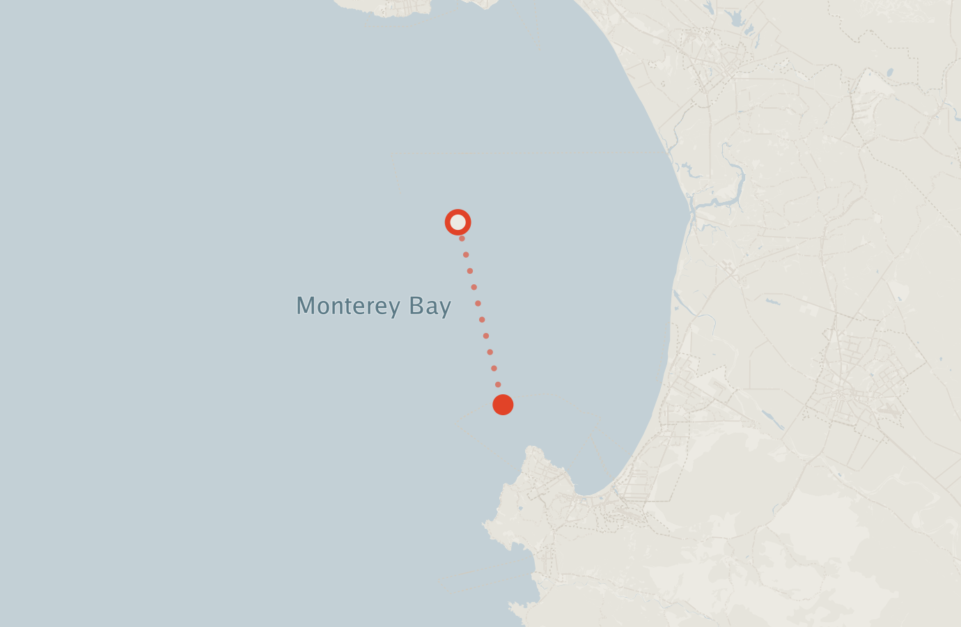 Activity map — real sighting points on an OpenStreetMap basemap
