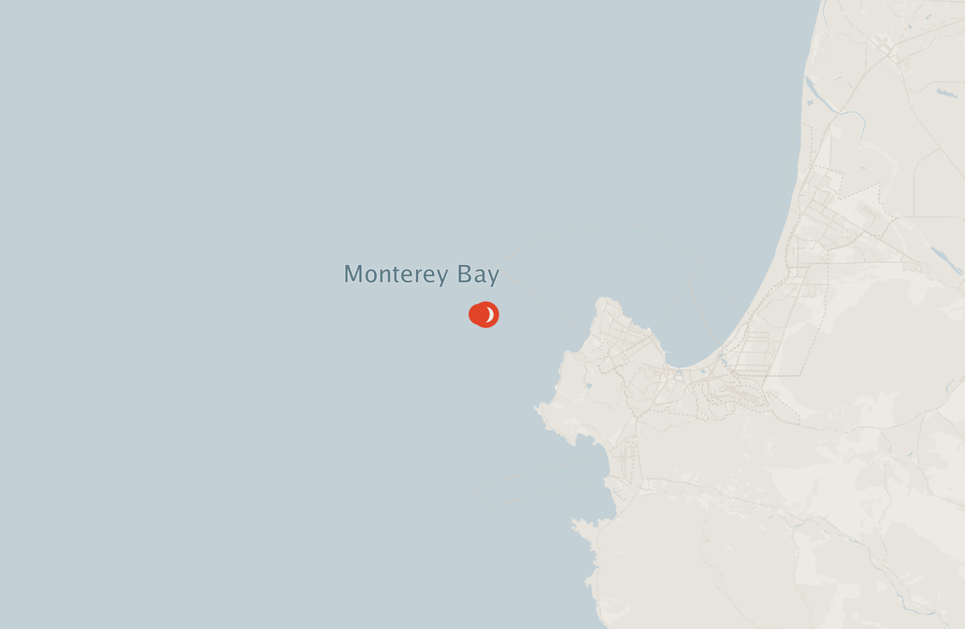 Activity map — real sighting points on an OpenStreetMap basemap