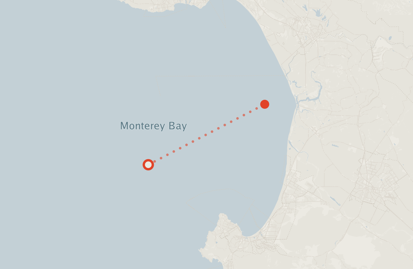 Activity map — real sighting points on an OpenStreetMap basemap