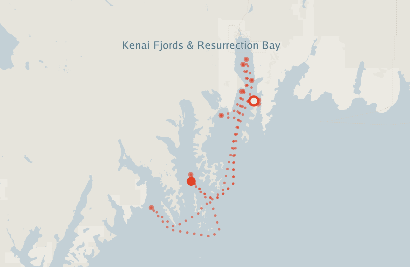 Activity map — real sighting points on an OpenStreetMap basemap