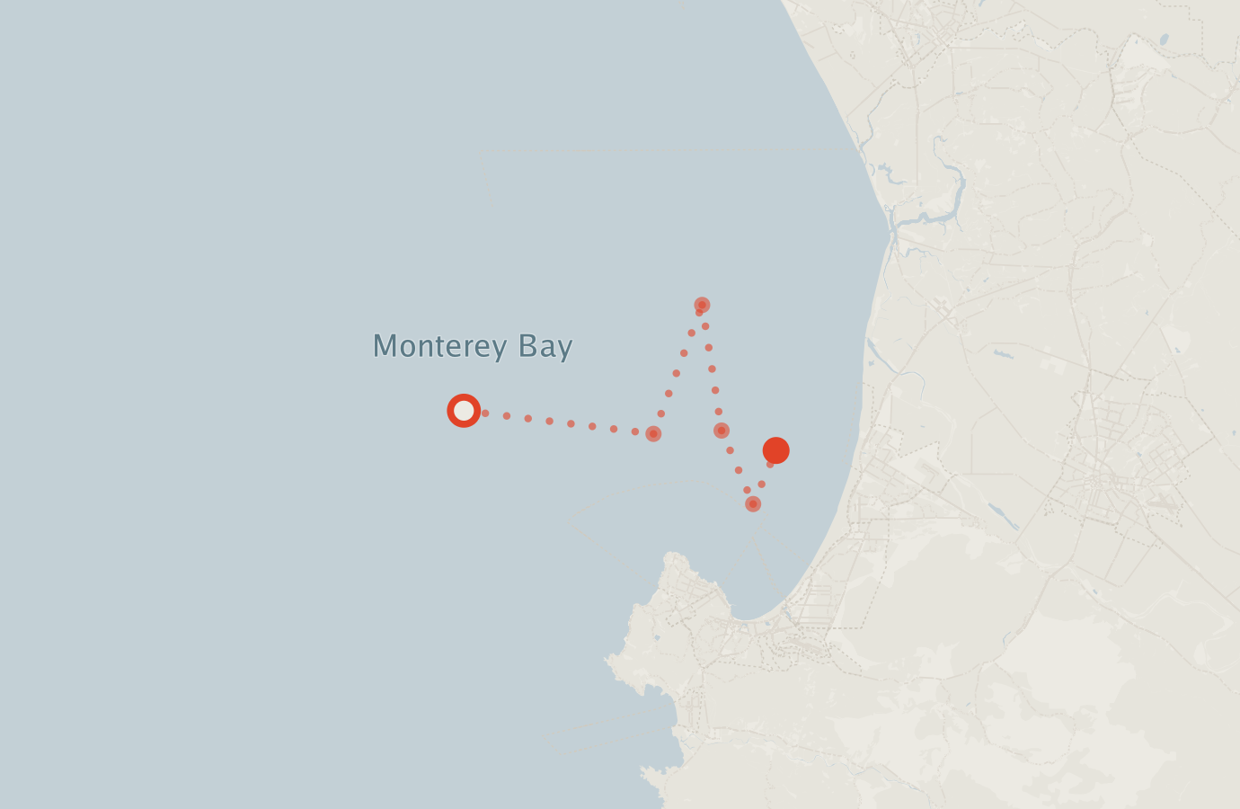 Activity map — real sighting points on an OpenStreetMap basemap