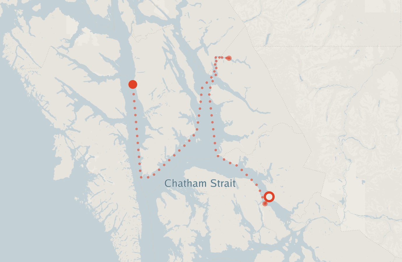 Activity map — real sighting points on an OpenStreetMap basemap